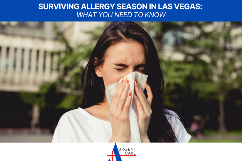 Surviving Allergy Season in Las Vegas What You Need to Know